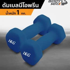 Body Max ศูนย์จำหน่าย ดัมเบล เก้าอี้ยกดัมเบล เวท ครบวงจร