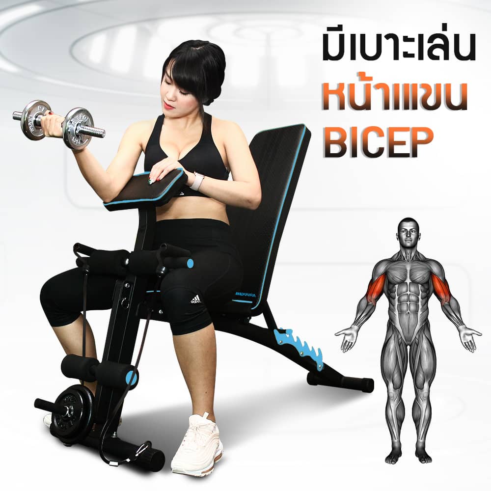 Body Max ศูนย์จำหน่าย ดัมเบล เก้าอี้ยกดัมเบล เวท ครบวงจร